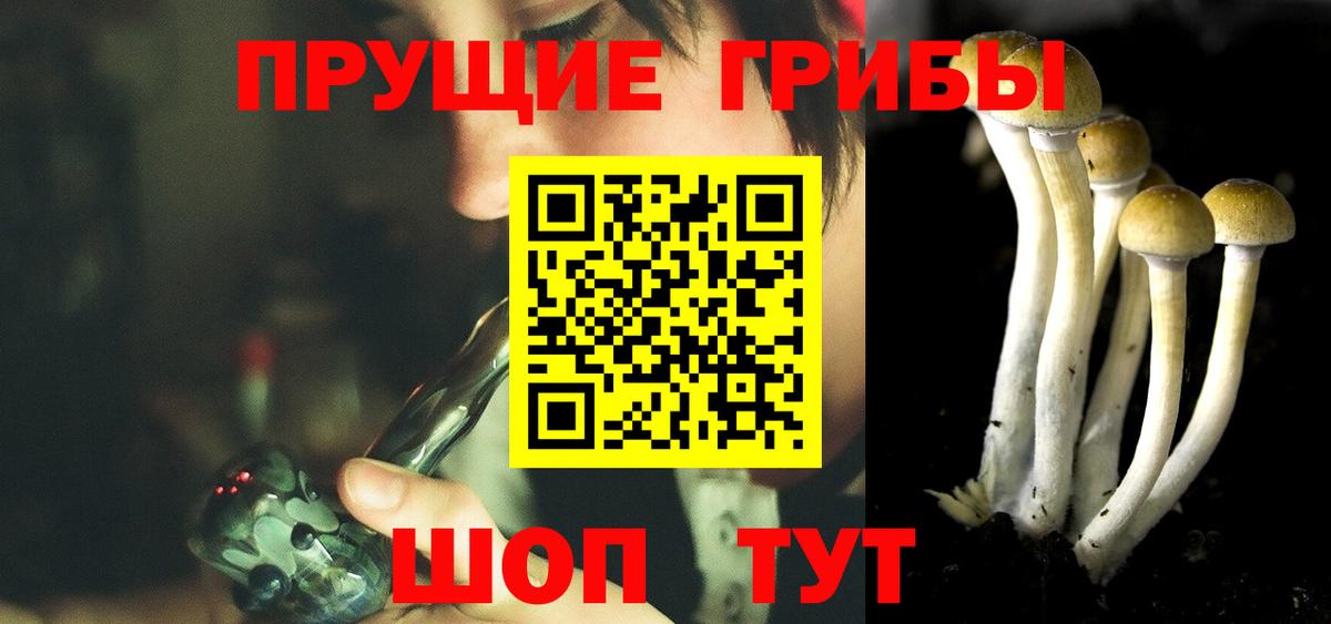 Псилоцибиновые грибы мухоморы Вязники